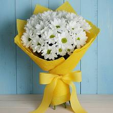 Букет цветов из:  Хризантемы #REPLACE_PRED# Беспятово
