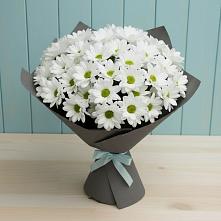 Букет цветов из:  Хризантемы #REPLACE_PRED# Беспятово